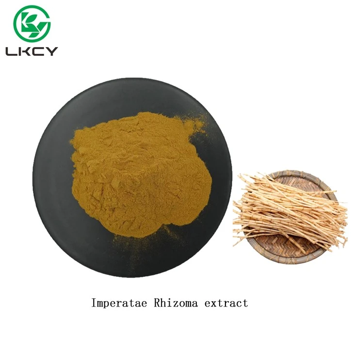 Imperatae Rhizoma Extract